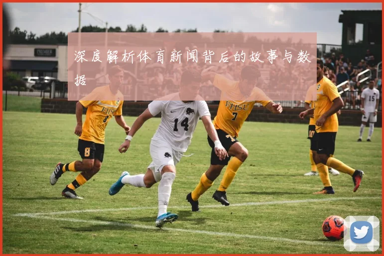 深度解析体育新闻背后的故事与数据